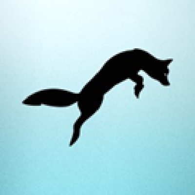 Snowfox Discovery